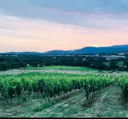 Elegant Country Open Space Deluxe Tenuta Piredu -monti-olbia Monti