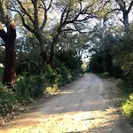 Elegant - Tenuta Piredu *