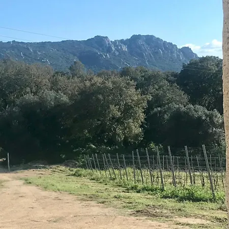 Elegant Country Open Space Deluxe Tenuta Piredu -monti-olbia Apartment