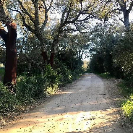 Elegant - Tenuta Piredu *