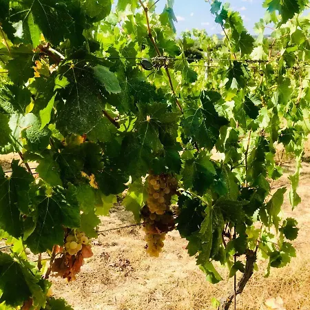 Appartement Elegant - Tenuta Piredu